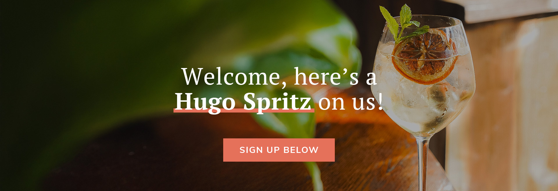 Sign up to the newsletter at The Sun In Splendour